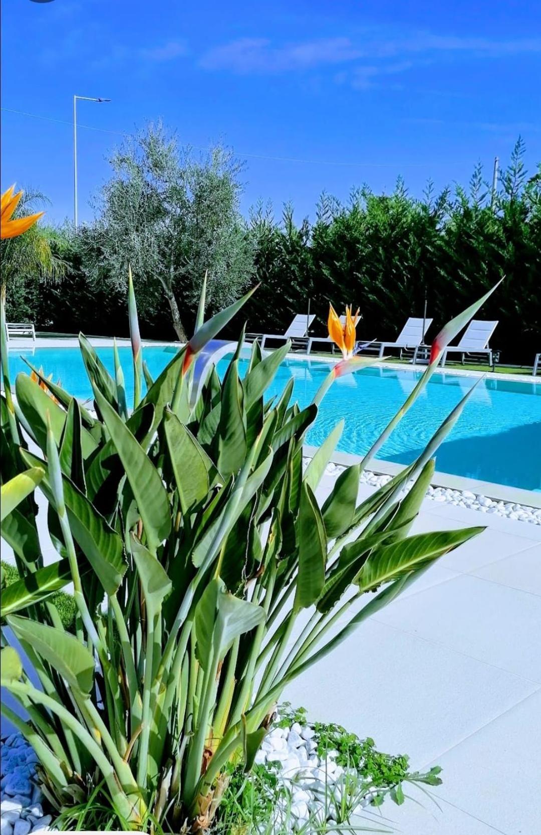 Relais Villa Ottavia Битонто Екстериор снимка